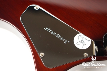 Sälen Deluxe NX 6 Vintage Burst